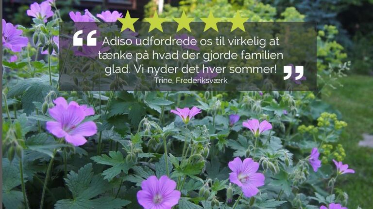 De siger Trine fra Frederiksværk