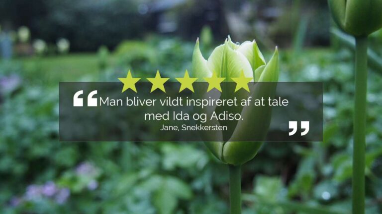 Det siger Jane fra Snekkersten