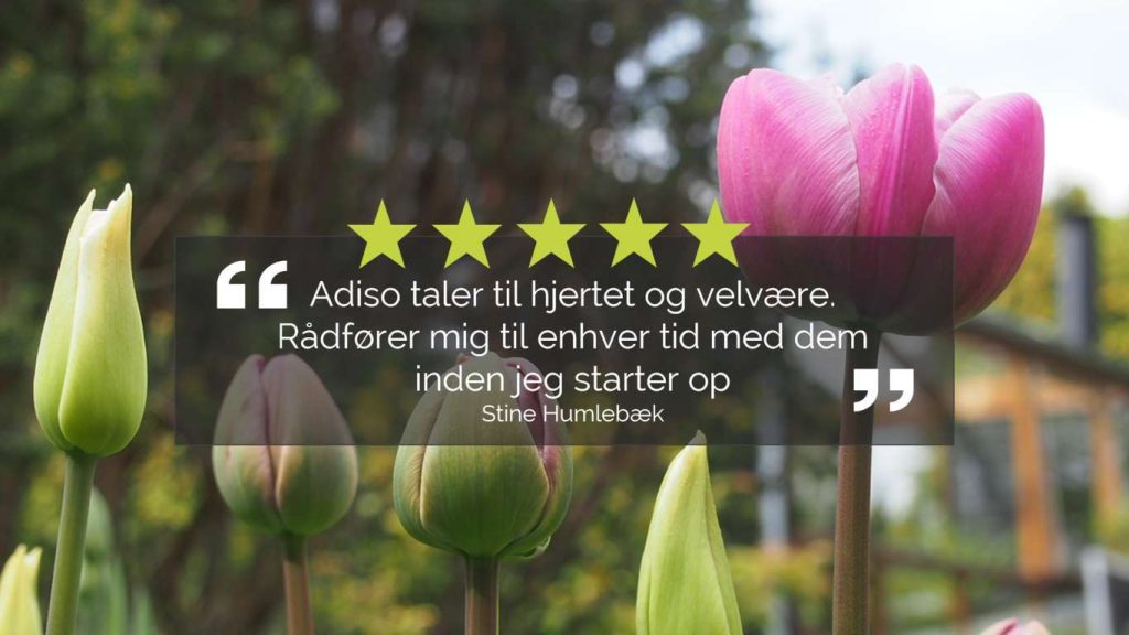 Skærmbillede 2020-03-27 22.53.57 (FILEminimizer) Skærmbillede 2020-03-27 22.53.57 (FILEminimizer)